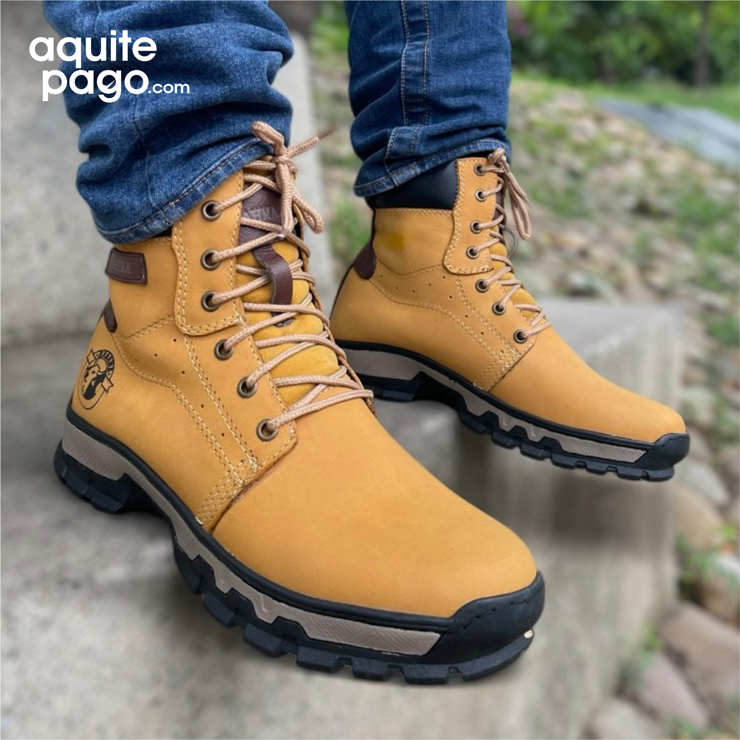 BOTA BRAHMA CLAN CUERO