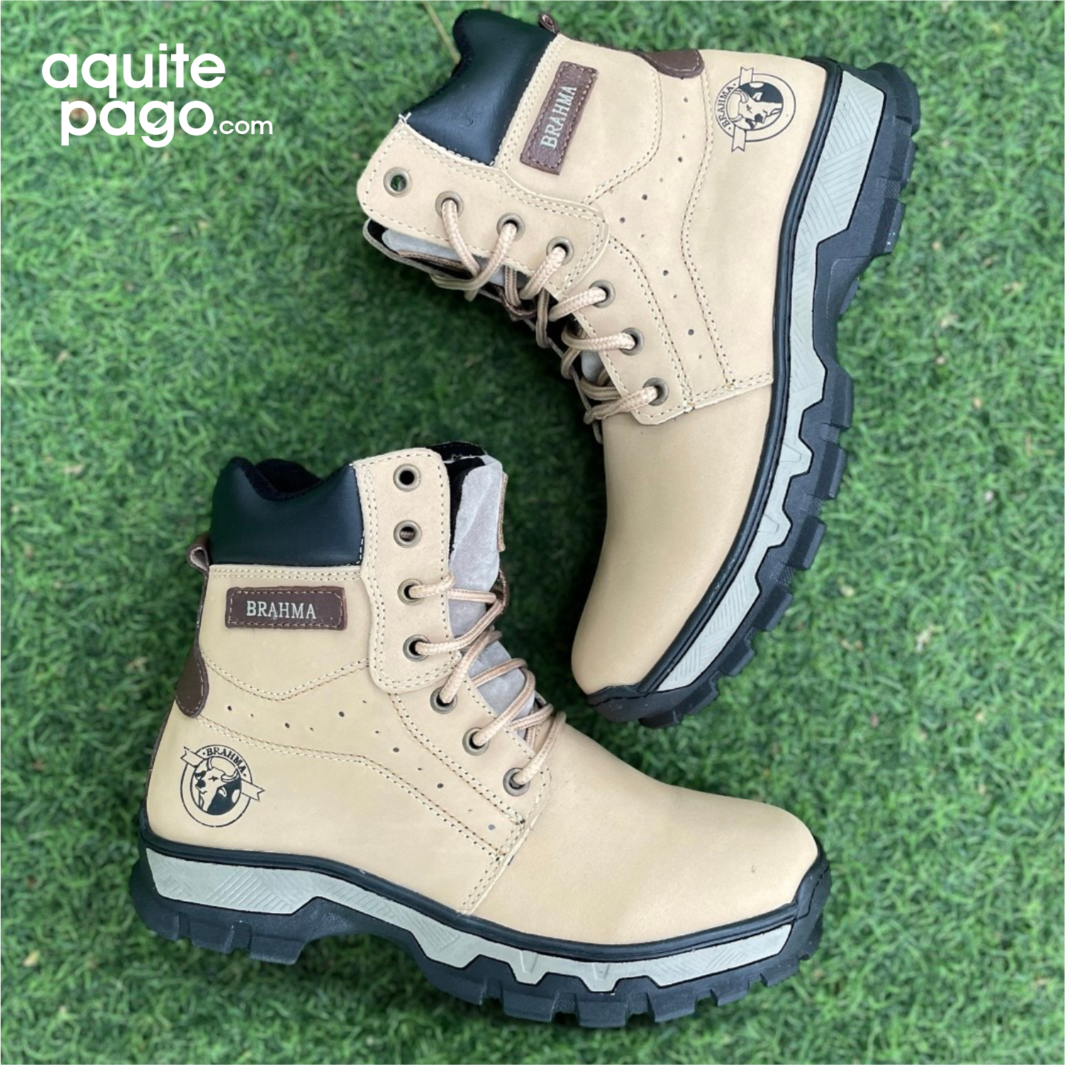 BOTA BRAHMA CLAN CUERO
